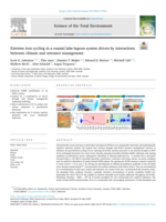 Extreme iron cycling in a coastal lake-lagoon system driven by interactions between climate and entrance management