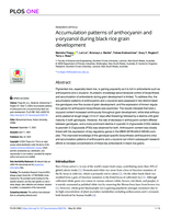 Accumulation patterns of anthocyanin and γ-oryzanol during black rice grain development