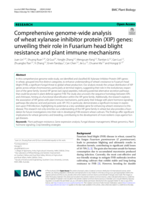 Comprehensive genome-wide analysis of wheat xylanase inhibitor protein (XIP) genes: unveiling their role in Fusarium head blight resistance and plant immune mechanisms