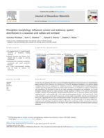 Floodplain morphology influences arsenic and antimony spatial distribution in a seasonal acid sulfate soil wetland