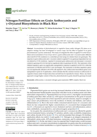 Nitrogen Fertiliser Effects on Grain Anthocyanin and γ-Oryzanol Biosynthesis in Black Rice