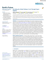 Revisiting the Global Methane Cycle Through Expert Opinion