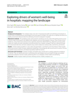 Exploring drivers of women's well-being in hospitals: mapping the landscape
