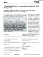 Enhancing 2D Photonics and Optoelectronics with Artificial Microstructures