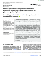 Effect of gastrointestinal digestion on the stability, antioxidant activity, and Caco-2 cellular transport of pigmented grain polyphenols