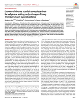 Crown-of-thorns starfish complete their larval phase eating only nitrogen-fixing Trichodesmium cyanobacteria