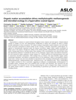 Organic matter accumulation drives methylotrophic methanogenesis and microbial ecology in a hypersaline coastal lagoon