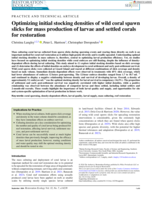 Optimizing initial stocking densities of wild coral spawn slicks for mass production of larvae and settled corals for restoration