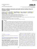 Efficient oxidation attenuates porewater‐derived methane fluxes in mangrove waters