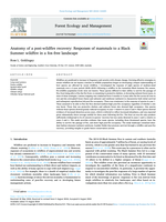 Anatomy of a post-wildfire recovery: Responses of mammals to a Black Summer wildfire in a fox-free landscape