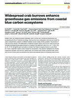 Widespread crab burrows enhance greenhouse gas emissions from coastal blue carbon ecosystems