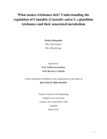 What makes trichomes tick? Understanding the regulation of Cannabis (Cannabis sativa L.) glandular trichomes and their associated metabolism
