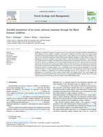 Variable persistence of an iconic arboreal mammal through the Black Summer wildfires