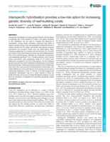 Interspecific hybridisation provides a low-risk option for increasing genetic diversity of reef-building corals