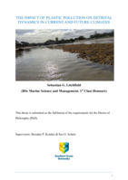 The impact of plastic pollution on detrital dynamics in current and future climates
