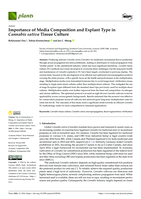 Importance of Media Composition and Explant Type in Cannabis sativa Tissue Culture