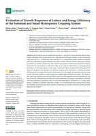 Evaluation of Growth Responses of Lettuce and Energy Efficiency of the Substrate and Smart Hydroponics Cropping System