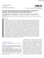 Hot spots drive uptake and short‐term processing of organic and inorganic carbon and nitrogen in intertidal sediments