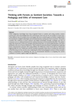 Thinking with Forests as Sentient Societies: Towards a Pedagogy and Ethic of Immanent Care