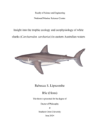 Insight into the trophic ecology and ecophysiology of white sharks (Carcharodon carcharias) in eastern Australian waters