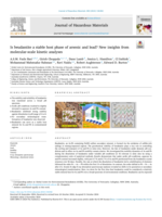 Is beudantite a stable host phase of arsenic and lead? New insights from molecular-scale kinetic analyses