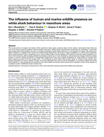 The influence of human and marine wildlife presence on white shark behaviour in nearshore areas