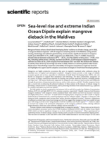 Sea-level rise and extreme Indian Ocean Dipole explain mangrove dieback in the Maldives