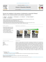 Ferrous iron oxidation in the presence of antimonate at neutral pH: Mutual effects on iron mineral products and antimony sequestration