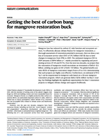 Getting the best of carbon bang for mangrove restoration buck
