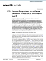 Connectivity enhances resilience of marine forests after an extreme event