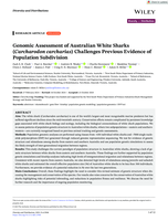 Genomic Assessment of Australian White Sharks ( Carcharodon carcharias ) Challenges Previous Evidence of Population Subdivision