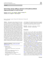 Interactions among wildtype and heat-evolved photosymbionts shape performance of coral recruits