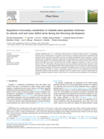 Regulation of Secondary Metabolism in Cannabis sativa Glandular Trichomes by Abscisic Acid and Water Deficit Stress During Late Flowering Development