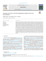 Culturing coral larvae with food supplements enhances larval size and settlement