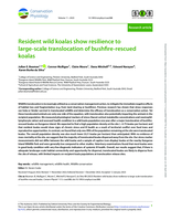 Resident wild koalas show resilience to large-scale translocation of bushfire-rescued koalas