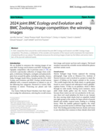 2024 joint BMC Ecology and Evolution&nbsp;and BMC Zoology image competition: the winning images