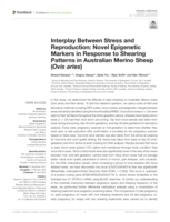 Interplay Between Stress and Reproduction: Novel Epigenetic Markers in Response to Shearing Patterns in Australian Merino Sheep (Ovis aries)