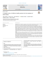 A scoping review of effective health practices for the treatment of birth trauma