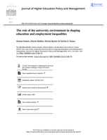 The role of the university environment in shaping education and employment inequalities
