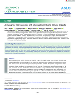 A mangrove nitrous oxide sink attenuates methane climate impacts