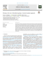 Flowing in the net of disordered gaming: A network analysis approach
