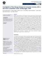 Investigation of Bara-Baruga (mangrove) ecosystem recovery after a hail storm in Boambee Creek, Gumbaynggirr, NSW