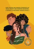 The racial dignity research project: A summary of phase 1 findings