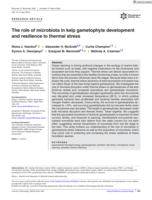 The role of microbiota in kelp gametophyte development and resilience to thermal stress