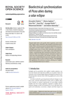 Bioelectrical synchronization of Picea abies during a solar eclipse