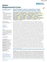 Dissolved Organic Carbon in Coastal Waters: Global Patterns, Stocks and Environmental Physical Controls
