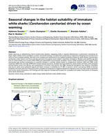 Seasonal changes in the habitat suitability of immature white sharks ( Carcharodon carcharias ) driven by ocean warming