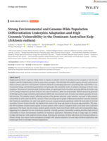 Strong Environmental and Genome‐Wide Population Differentiation Underpins Adaptation and High Genomic Vulnerability in the Dominant Australian Kelp ( Ecklonia radiata )