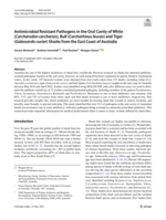 Antimicrobial Resistant Pathogens in the Oral Cavity of White (Carcharodon carcharias), Bull (Carcharhinus leucas) and Tiger (Galeocerdo cuvier) Sharks from the East Coast of Australia