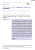Welfare of sheep and goats during killing for purposes other than slaughter